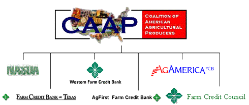 caapbig
