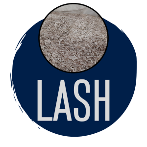 lash